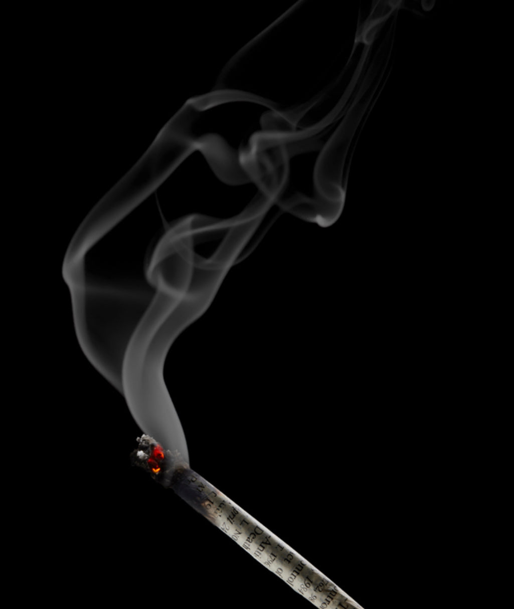 Burn Book Papers