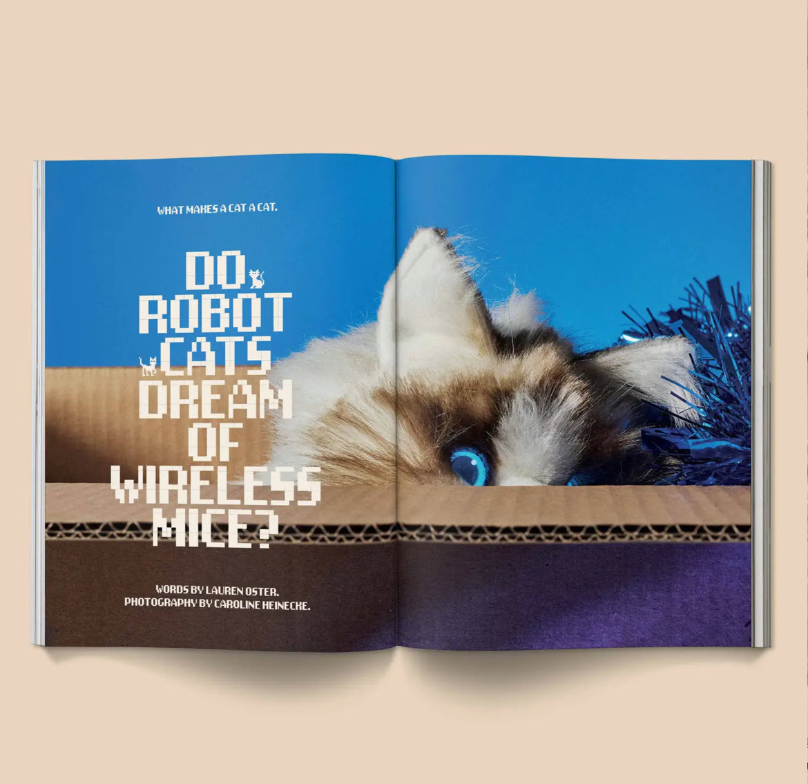 Catnip Magazine