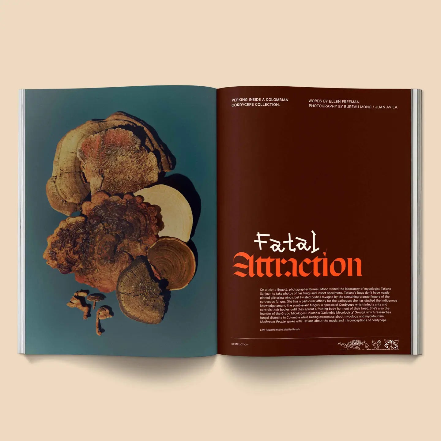 Mushroom People Magazine: Vol. 2