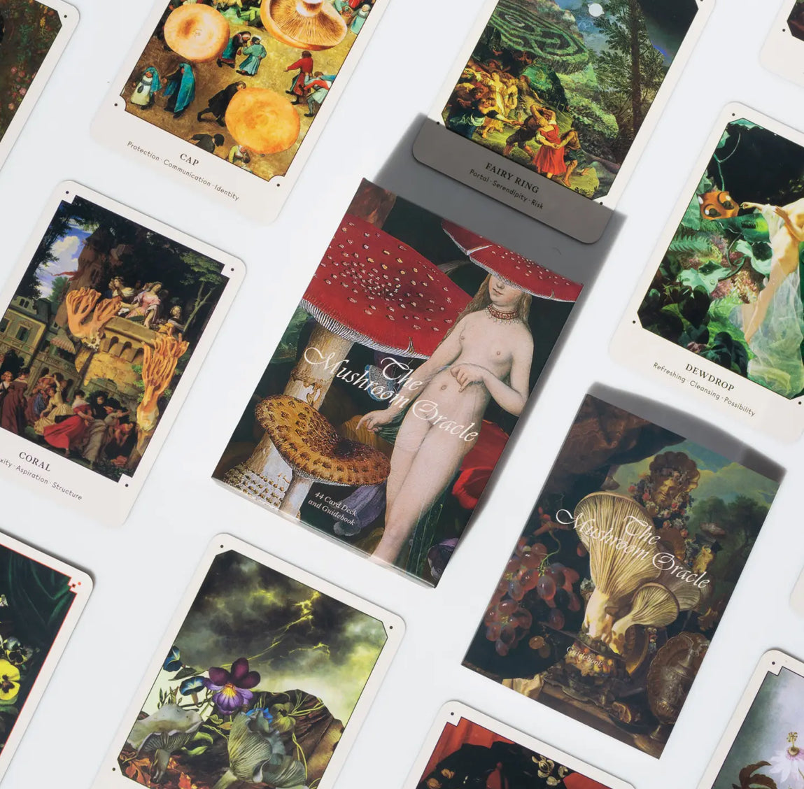 The Mushroom Oracle: 44 Card Deck and Guidebook