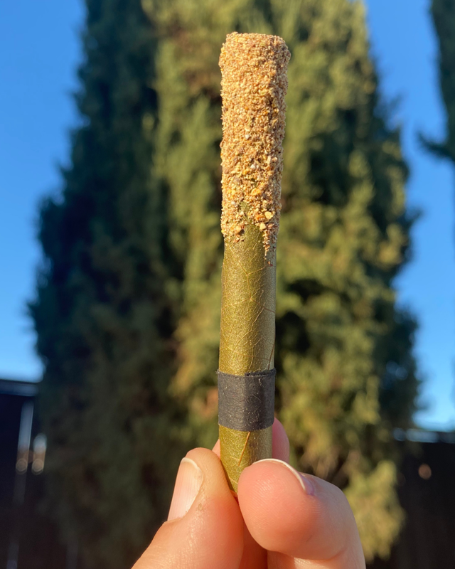CLOVE AND CARDAMOM PALM LEAF TEA TOKE