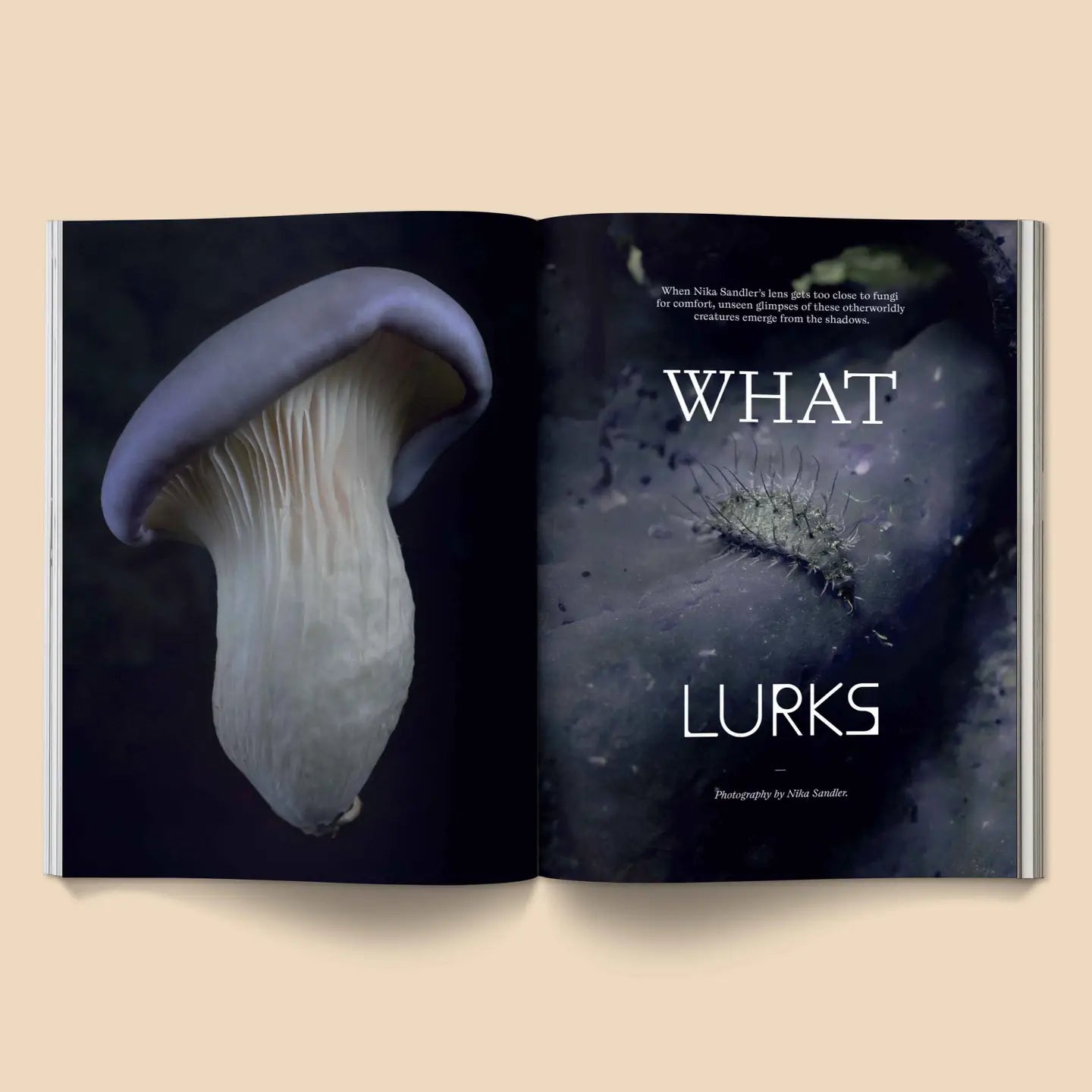 Mushroom People Magazine: Vol. 2