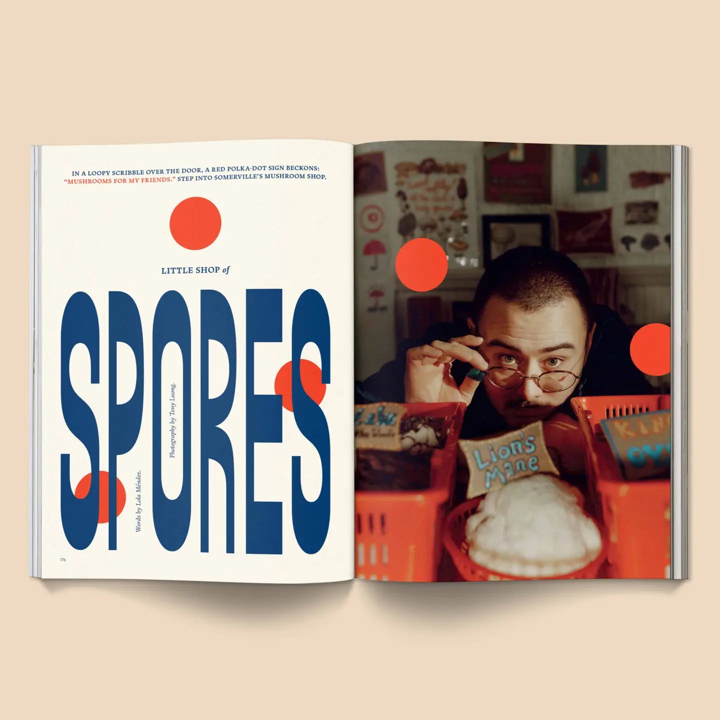 Mushroom People Magazine: Vol. 2