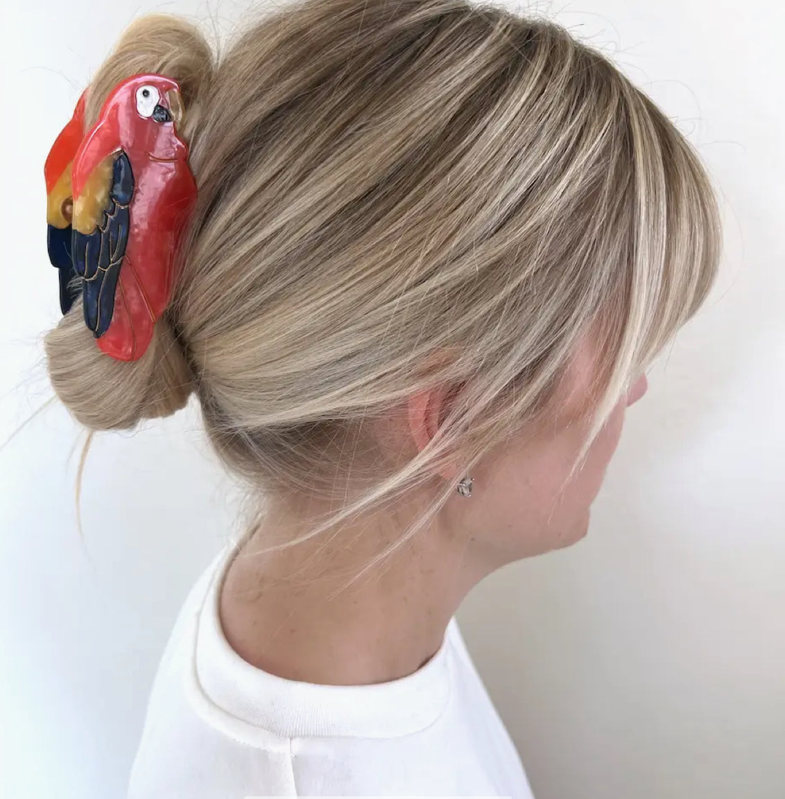 Hand Painted Parrot Claw Hair Clip