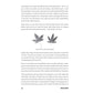 Weed Mom By Danielle Simone Brand