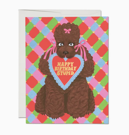 Stupid Poodle Birthday Card